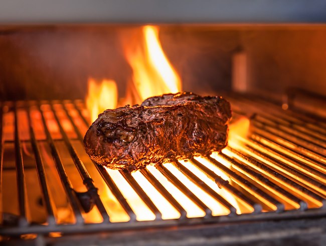 X-Oven Holzkohle Grill